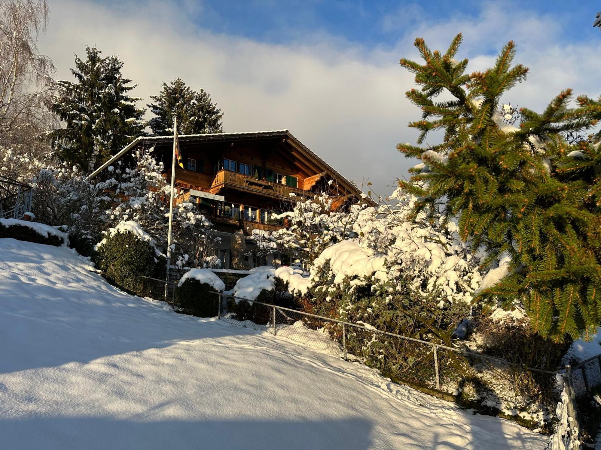 Chalet Rosemarie Ringgenberg Eksteriør bilde